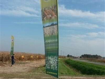 Dani polja BC Instituta u Starom Topolju