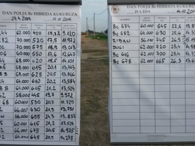 Dani polja BC Instituta u Starom Topolju