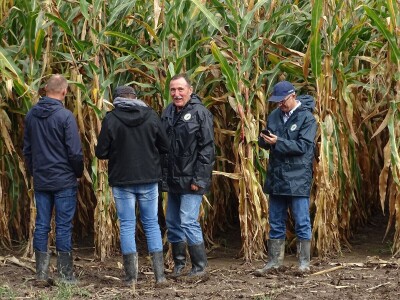 bc institut kukuruz lovas