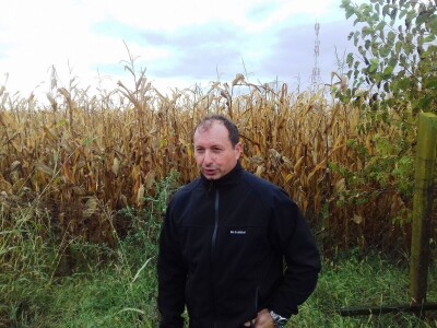 bc institut kukuruz lovas