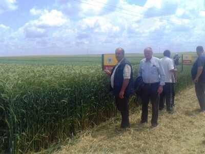 BC Institut Lovas 2019