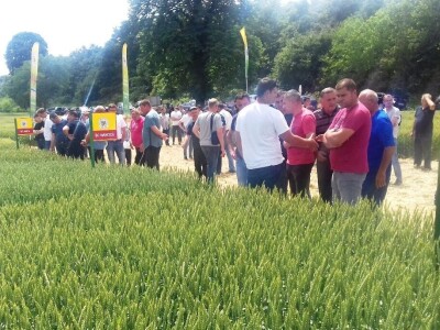 BC Institut Lovas 2019