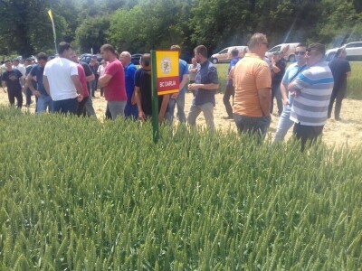 BC Institut Lovas 2019