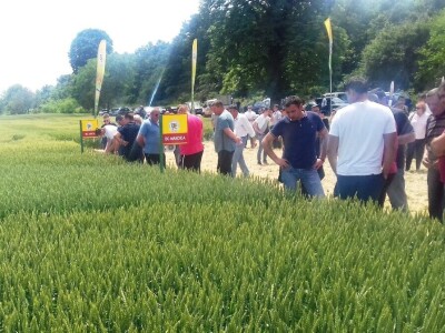 BC Institut Lovas 2019