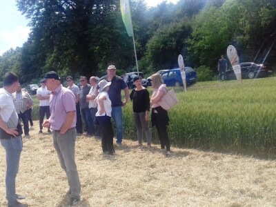 BC Institut Lovas 2019