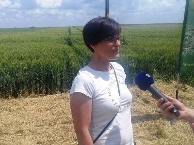 BC Institut Lovas 2019