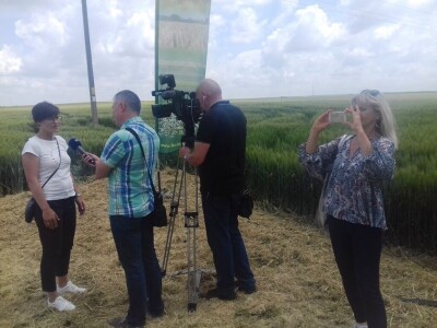 BC Institut Lovas 2019