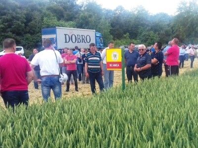 BC Institut Lovas 2019