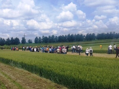 BC Institut Lovas 2019