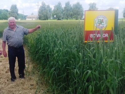 BC Institut Lovas 2019