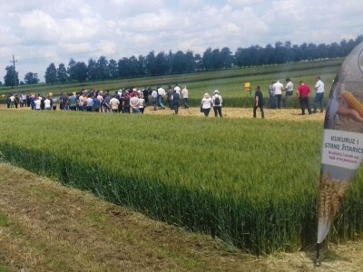 BC Institut Lovas 2019