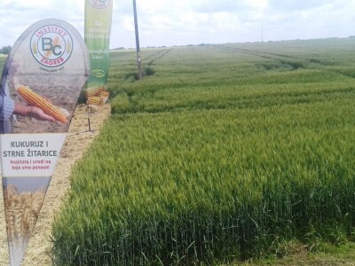 BC Institut Lovas 2019