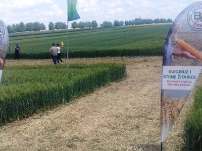 BC Institut Lovas 2019