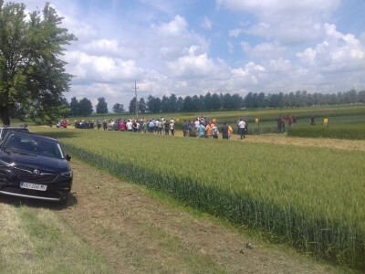 BC Institut Lovas 2019