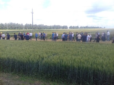 BC Institut Lovas 2019