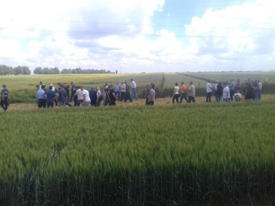 BC Institut Lovas 2019