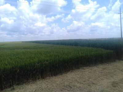 BC Institut Lovas 2019