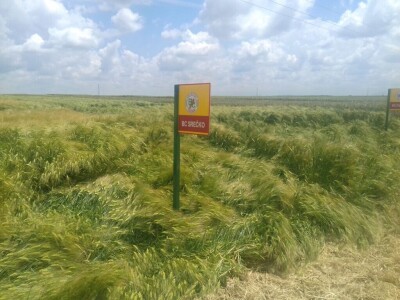 BC Institut Lovas 2019