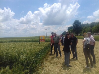 BC Institut Lovas 2019