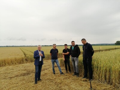 BC Institut na Danu polja u Međimurju predstavio nove sorte pšenice