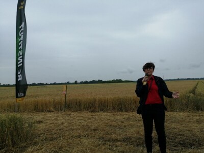 BC Institut na Danu polja u Međimurju predstavio nove sorte pšenice