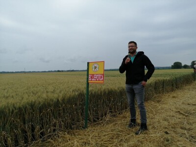 BC Institut na Danu polja u Međimurju predstavio nove sorte pšenice