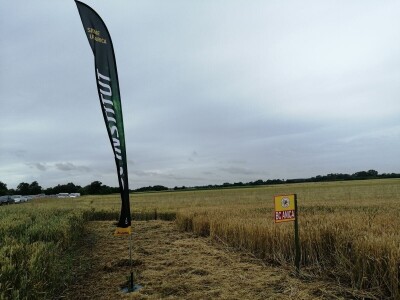 BC Institut na Danu polja u Međimurju predstavio nove sorte pšenice