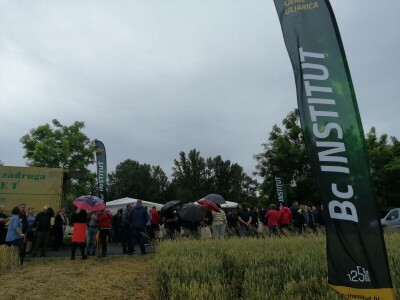 BC Institut na Danu polja u Međimurju predstavio nove sorte pšenice
