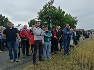 BC Institut na Danu polja u Međimurju predstavio nove sorte pšenice