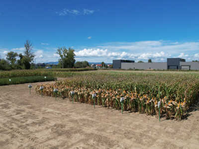 Bc Institut spreman za proljetnu sjetvu