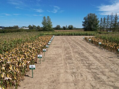 Bc Institut spreman za proljetnu sjetvu