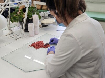 Bc Institut spreman za proljetnu sjetvu