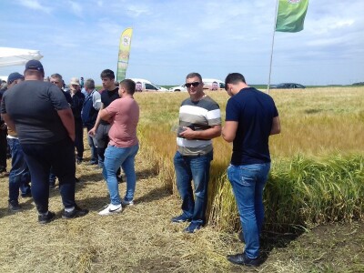 BC Institut u Lovasu