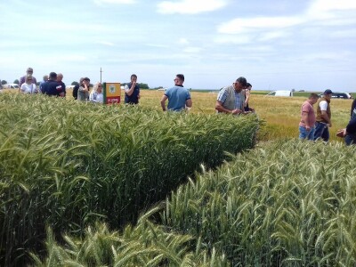 BC Institut u Lovasu