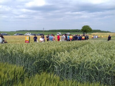 BC Institut u Lovasu