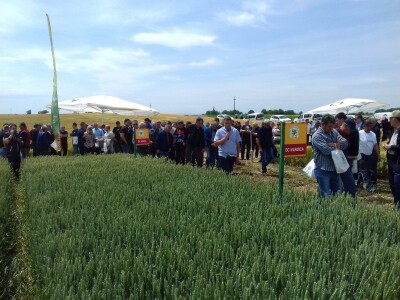 BC Institut u Lovasu