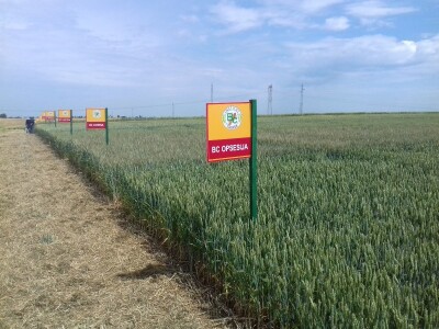 BC Institut u Lovasu