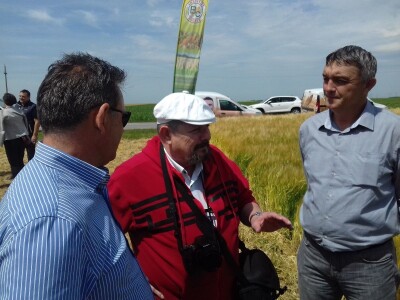 BC Institut u Lovasu