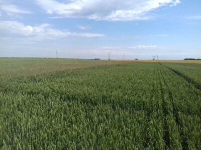 BC Institut u Lovasu