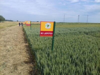 BC Institut u Lovasu