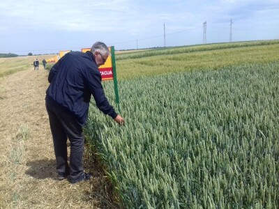 BC Institut u Lovasu