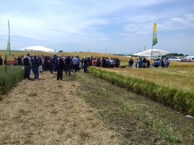 BC Institut u Lovasu