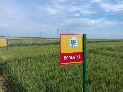 BC Institut u Lovasu