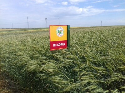 BC Institut u Lovasu