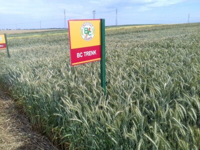 BC Institut u Lovasu