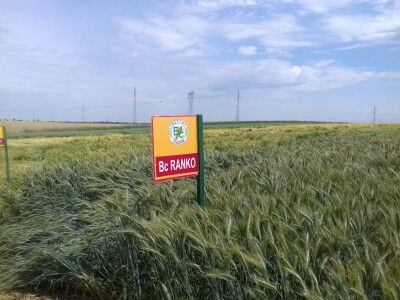 BC Institut u Lovasu