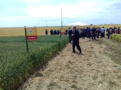 BC Institut u Lovasu