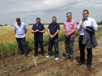 BC Institut u Lovasu