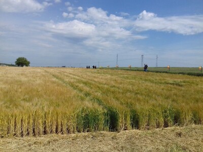 BC Institut u Lovasu