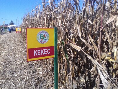 BC institut u Starom Topolju